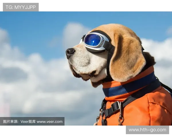 乌比格佩戴特殊训练眼镜 提升视觉反应优化赛场状态